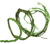 Vines for Reptiles Terrarium Plants Cage Accessories Gecko Tank Hanging Artificial Leaves Fake