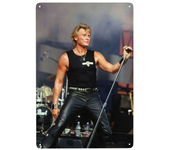 Retro French Rock Singer Johnny Hallyday Metal Sign Personalized Tin Plaque Pub Wall Bar Decor Decorations Art