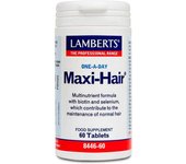 Lamberts Maxi - Hair One A Day 60 Tablets Tableta