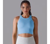 SSITO Chaleco Deportivo sin costura para Mujer, sujetador de Yoga sin Mangas, Tops de entrenamiento, Top Short de Fitness, Gimnasio, Correr, Chaleco a prueba de golf, Top de sujetador elástico Alto