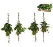 MACETA PLANTAS ALGAS PARA COLGAR 55CM (PRECIO POR UNIDAD) PLÁSTICO