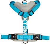 Arnes x-trm cronos neon flash 35-60 x 1,5 cm azul