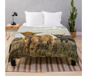 Fleece Throw Blanket Yak Highland Cow Home Decor,Cattle Portrait Art Super Soft Warm Plush Bed TV Blankets for Couch/Sofa/Travel