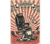 Varios Silla de Barbero PEINADOR (120X160)