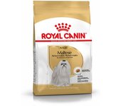 Royal Canin Bichón maltés 1,5Kg - Pienso para perro de raza