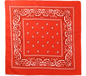 Outdoor Cycling 53cm Cotton Square Scarf Women Men Paisley Print HipHop Bandanas Scarves Headband Handkerchief Hair Mask