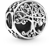 Charm Pandora Raíces Familiares