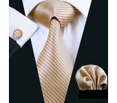 Barry.Wang Gold Beige Yellow Brown Tulip Silk Men Tie Handkerchief Cufflink Set Jacquard Necktie for Male Wedding Business Party