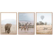 Set de 3 cuadros calidad premium con marco de madera - 30x40 cm o 50x70 cm - POSTER LAB