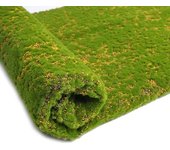 Moss Mat, 1x1M Artificial Lawn Carpet, Lichen Plants, Home Lawn, Garden, Courtyard, DIY Decoration