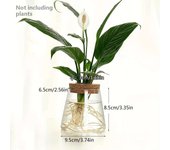 1pc, glass werpot breeding station vase rack desktop hydroponic plant cuttings office home decoration