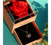 Her Lab Jewelry | Creative Valentine's Day Preserved Flower Moissanite Necklace Gift Box S925 Sterling Silver Crown Shape Women's Pendant Necklace High-end Valentine's Day gift for girlfriend, what you see is what you get