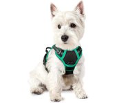 Transportín Reflectante, Transportín Pectoral para Perros Medianos y Grandes, Chaleco Correa para Perros