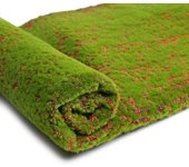Moss Mat, 1x1M Artificial Lawn Carpet, Lichen Plants, Home Lawn, Garden, Courtyard, DIY Decoration