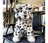 Winter New Pet Clothing white Leopard Dog Coat Warm Long Velvet Cap with Small Spots Small Dog and Cat Same Pet Fur Coat