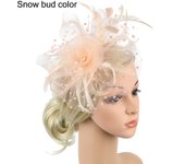 Flower Feathers Hair Clip Fascinator Hat for Women Tea Party Headband Wedding Cocktail Mesh Alice Headband Clip
