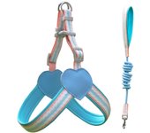 Pet Supplies Y Shape Dog Harness Vest Style Breathable Dog Traction Rope Adjustable Wear-resistant Dog Walking Leash Summer