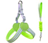 Pet Supplies Y Shape Dog Harness Vest Style Breathable Dog Traction Rope Adjustable Wear-resistant Dog Walking Leash Summer