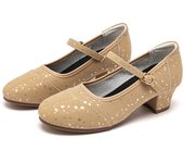 Zapatos De Baile Piel De Cordero Verano Malla Cuadrado Recta Tabla De Baile Zapatos De Baile Latino Profesores De Baile Zapatos De Baile