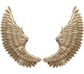 Art Angel Wing Wall Decoration Iron Wall Hanger Home Gold Sculpture Wing 2 pcs
