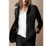 Chaqueta ajustada de un solo pecho para mujer, abrigo cálido de temperamento fino, para ir al trabajo, Invierno