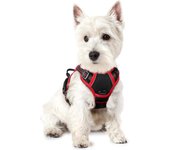 Transportín Reflectante, Transportín Pectoral para Perros Medianos y Grandes, Chaleco Correa para Perros