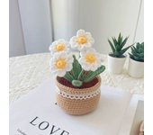 Daisy Rose Tulip Crochet Flower Kit Handmade Woolen Yarn No Finish Flowers Crochet Knitting Kit Unique Tulip Potted Flower