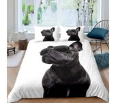 Bulldog Duvet Cover French Bulldogs Bedding Set Twin Polyester Chocolate Puppy Pet Doggy Animal Quilt Cover for Dog Lover Gifts