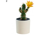 Mini bonsái Premium Cactus en maceta adornos plantas artificiales ligeras