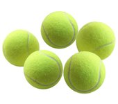 Interactive With 1pcs Ball Cats Dogs Toy Throwing Mmachine Smart Feeder Food Reward Machine Pet Ball Thrower