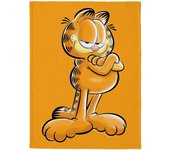 Garfield Accept N Super Soft Plush Throw Blanket