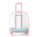 HOT Clear pet backpack, cat carrier bag, portable capsule, pet carrier bag