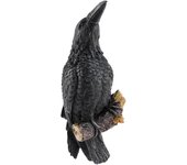 Raven Statue Fake Raven Resin Statue Bird Crow Sculpture Outdoor Crows Halloween Decor Creative Eauves Decoration