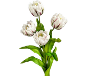 Scene Layout PU Artificial Tulip Branches Real Touch Festival Rococo Tulip Stem Handmade Faux Tulip Flower Party Favor