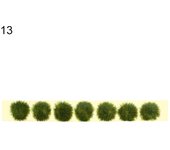 1PC Durable Sand Table Building Layout Flower Cluster Miniature Garden Decor Landscape Wargame Grass Tufts