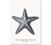 Beach Hut Bridge Reef Starfish Conch Coral Ocean Wall Art Canvas Painting Posters And Prints Wall Pictures For Living Room Decor