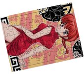 PUZZLE PEQUEÑO 48 PIEZAS CON MARCO ranma 1/2 serie amor humor ecchi rompecabezas puzle para adulto anime shonen bishoujo