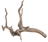 Sera Scaper Root - Raiz de Filigrana Diferentes Tamaños