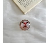 3D Cat Dog Clear Ball New Mobile Phone Holder Bracket Expanding Stand Finger Holder for IPhone Huawei Phone Accessories Grip