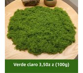 30/50/100g Mini Landscape Fake Grass Eternal Artificial Green Moss DIY Crafts Home Living Room Garden Grass Plants Decorations