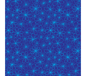 Papel Pintado Florales en fondo azul oscuro