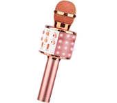 Micrófono inalámbrico profesional con Bluetooth, micrófono de mano, reproductor de Música KTV, grabadora de Canto