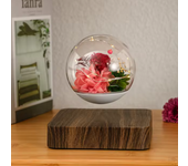 Levitating Air Bonsai Pot Rotation Flower Pot Planters Magnetic Suspension Floating Pot Potted Plant Home Without Plants
