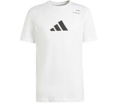 ADIDAS Camiseta M Tns Cat G Hombre manga corta blanco de tenis y padel - IS2408