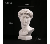 European Home Decoration David Head ResinStatues Statues Home Decor  Modern Abstract Art  Bust Sculpture Art Sketch Practice