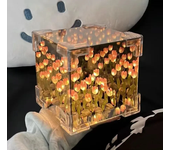 New Creative Diy Tulip Flower Sea Cube Three-Dimensional Small Night Lamp Material Package for Girlfriend Couple Girlfriends