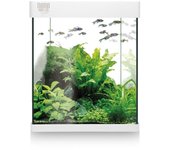 ICA - Kit Nano Aqualed 10 (10 Litros) - Kit Completo con Acuario de Cristal para Agua Dulce