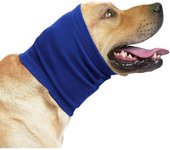 Sudaderas con capucha para perros y Gatos Felices: Una herramienta Mágica de ASEO y Seco Ado