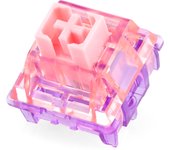 35 Pieces EPOMAKER Flamingo Switches Set Linear Factory Lubed Switch POM Stem Dual Spring PC Housing Mechanical Keyboard