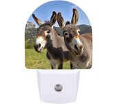 Luz nocturna inteligente con sensor LED, luz nocturna enchufable de bajo consumo, luces nocturnas con divertidos burros impresos, luces nocturnas que se enchufan a la pared con sensor automático de anochecer a amanecer